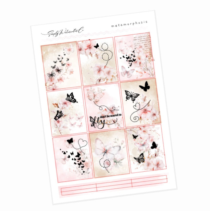 Metamorphosis DELUXE Kit