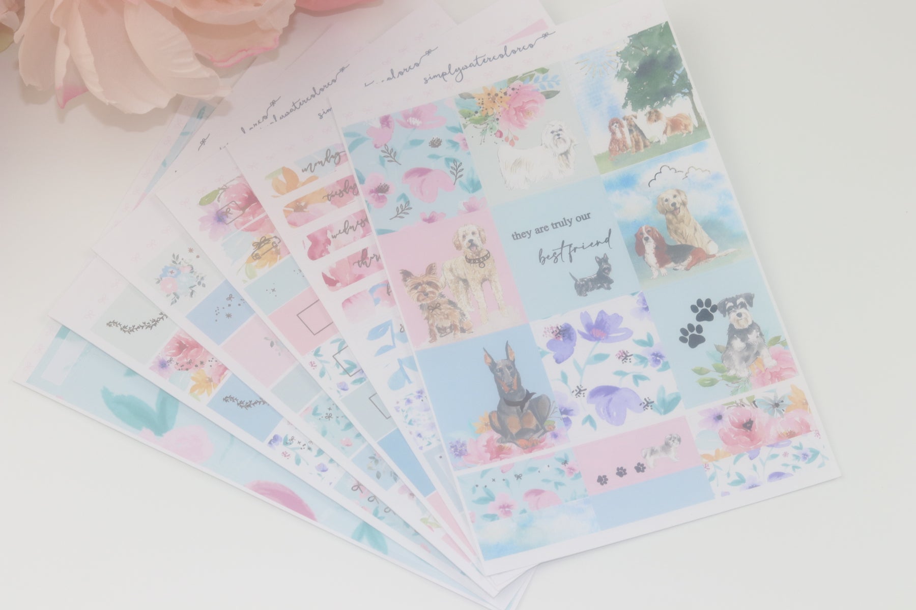 Best Friend ULTIMATE Kit