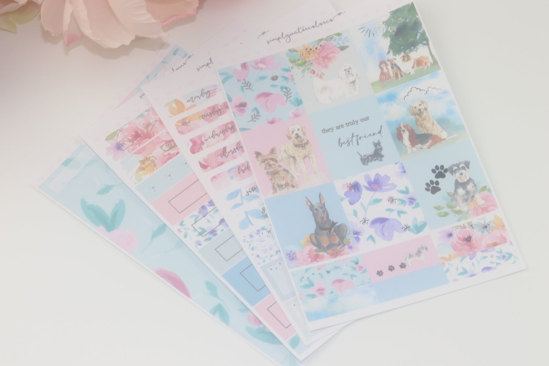 Best Friend DELUXE Kit