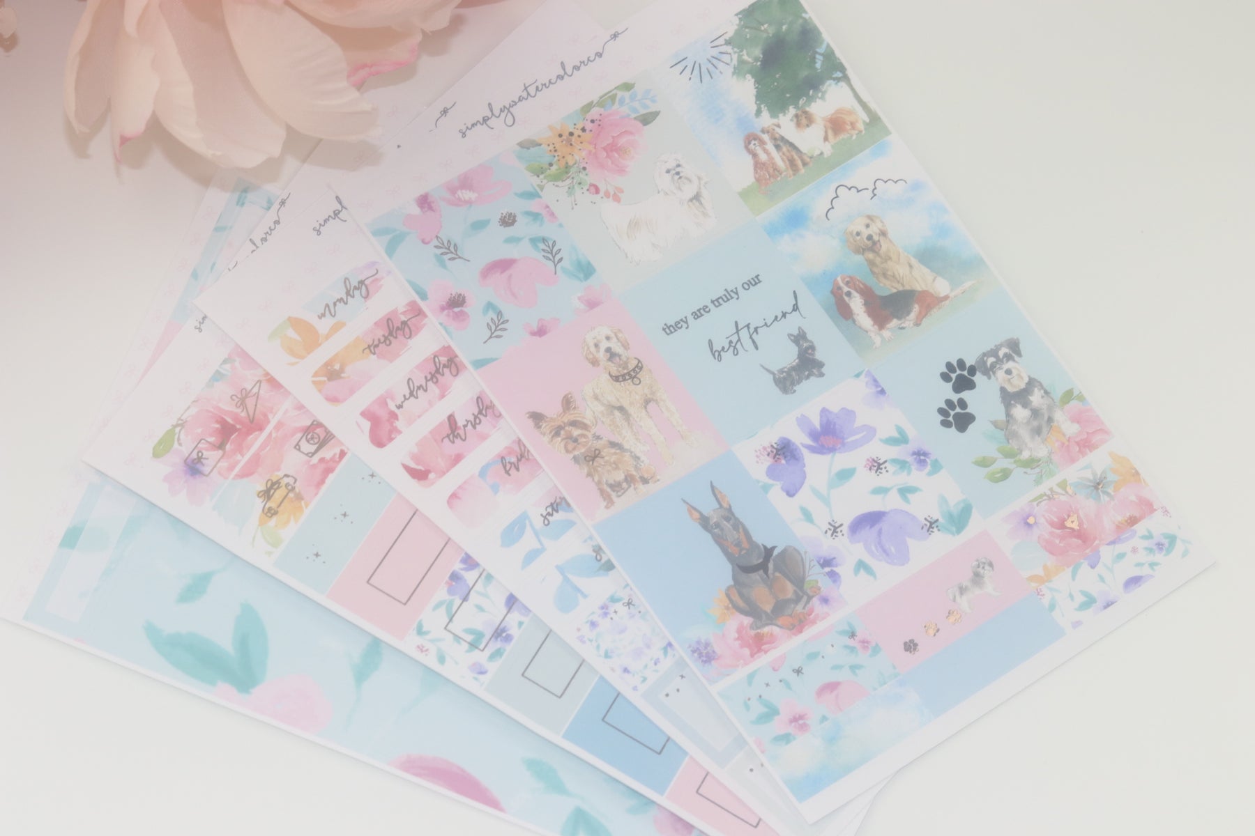 Best Friend DELUXE Kit