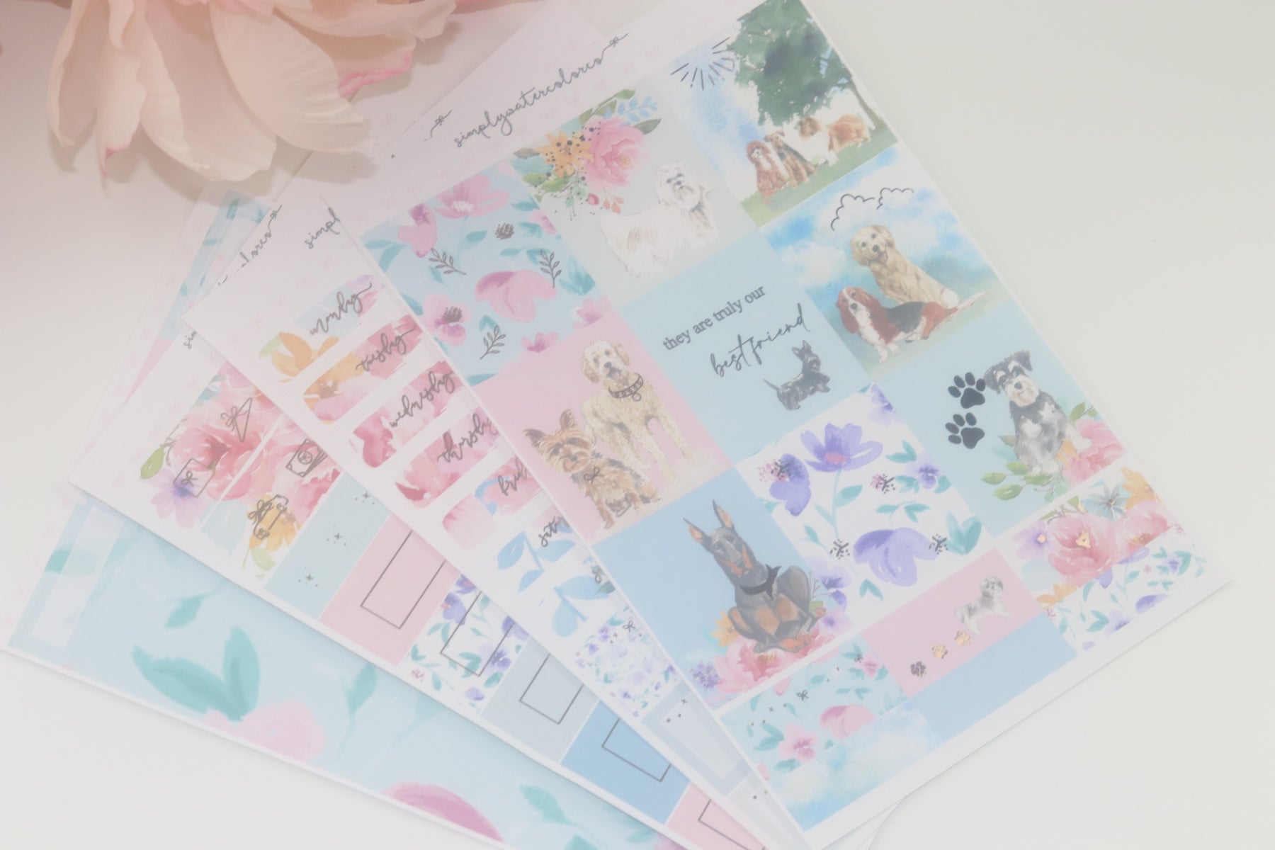 Best Friend DELUXE Kit