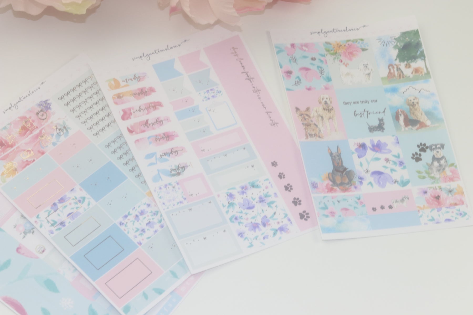 Best Friend DELUXE Kit