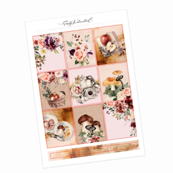 Chanterelle DELUXE Kit