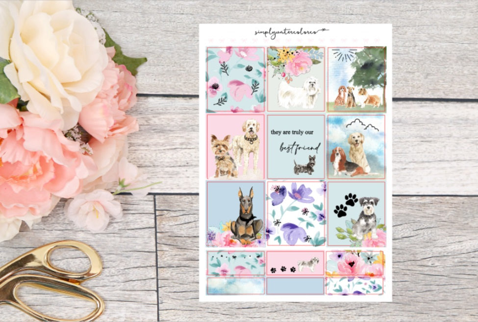 Best Friend DELUXE Kit