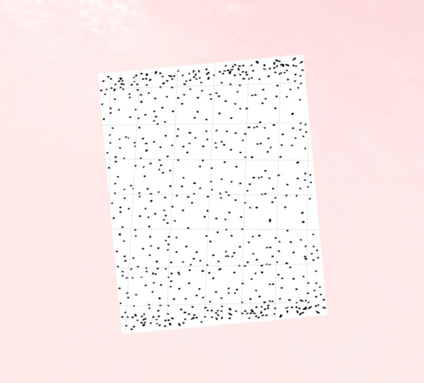 CLEAR Shimmy Washi Tape // FB Overlay 1.9in Perforated