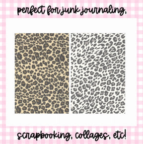 Cheetah Power | Scrapbook Papers