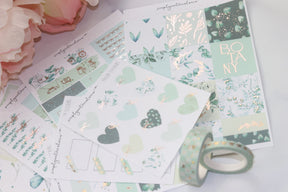 FOIL Jan SUB BASICS (Botany Collection)