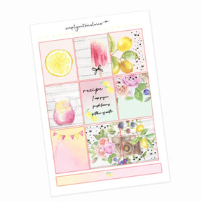 Pink Lemonade DELUXE Kit